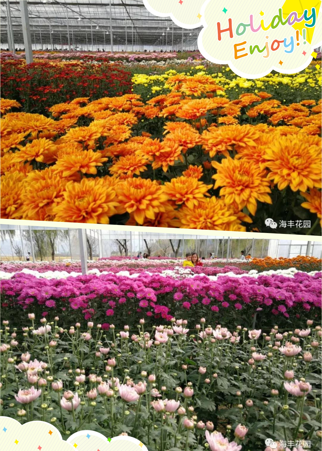1557800035219396.jpg 未命名_副本.jpg
